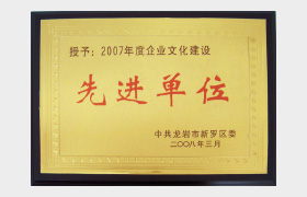 Advanced Entity for Enterprise Culture Construction